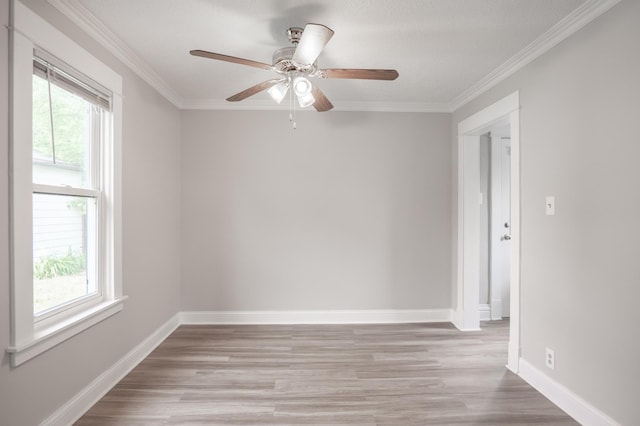 938 Cypress St, Saint Paul, MN 55106 - empty room featuring plenty of natural light, light wood finished floors, ceiling fan, and ornamental molding