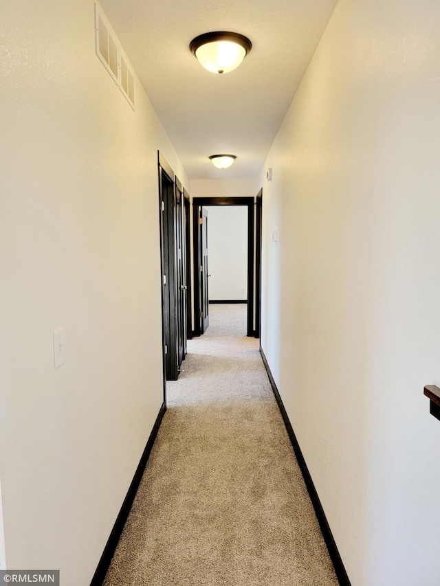 217 Bouldercrest Ave NE, Owatonna, MN 55060 - corridor with light colored carpet and baseboards