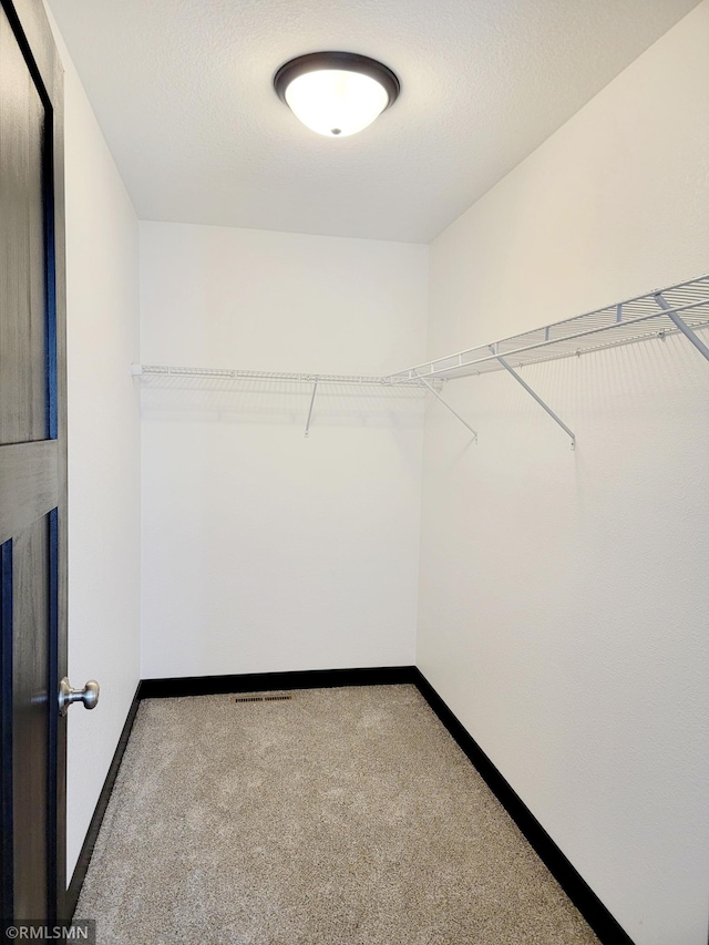 217 Bouldercrest Ave NE, Owatonna, MN 55060 - walk in closet with carpet