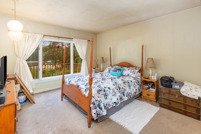 bedroom with carpet