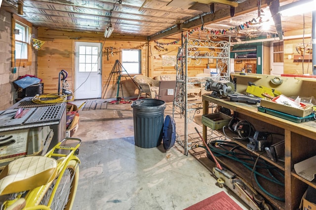 below grade area with a workshop area and wood walls