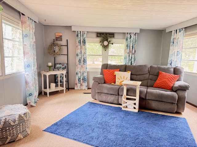 36434 145th Ave, Blueberry Twp, MN 56464 - view of carpeted living area