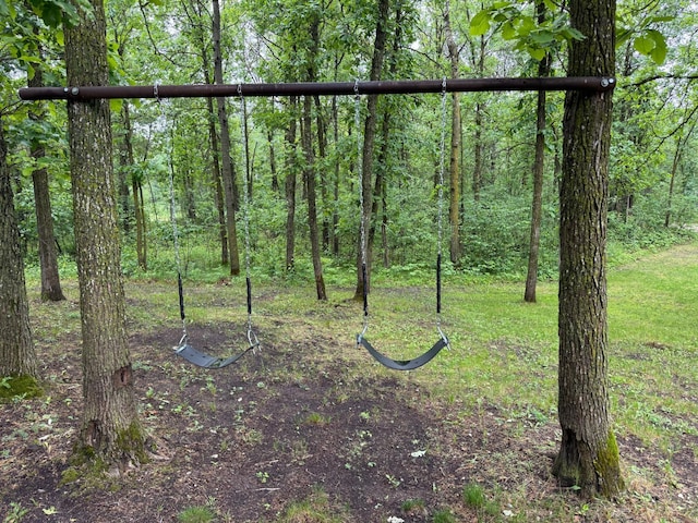42863 270th St, Malung Twp, MN 56751 - view of woods