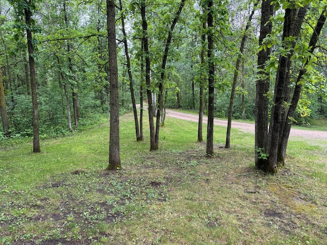 42863 270th St, Malung Twp, MN 56751 - view of woods