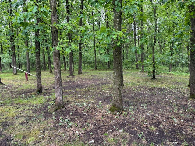 42863 270th St, Malung Twp, MN 56751 - view of tree filled area