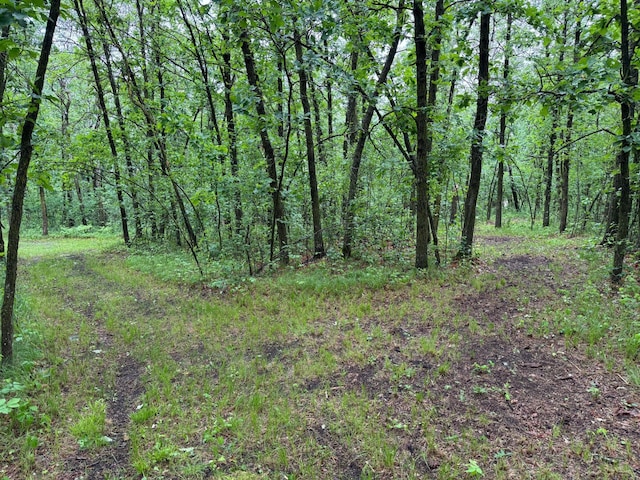 42863 270th St, Malung Twp, MN 56751 - view of woods
