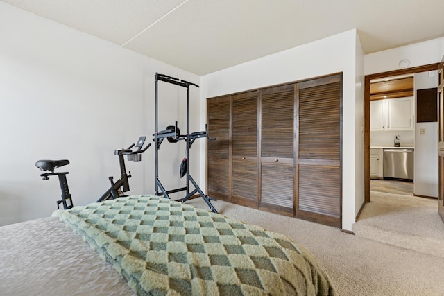 6710 Vernon Ave S Unit 316, Edina, MN 55436 - bedroom featuring light carpet and a closet