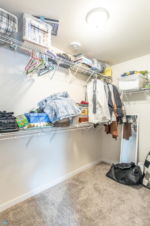 7339 21st St S, Fargo, ND 58104 - walk in closet with carpet flooring