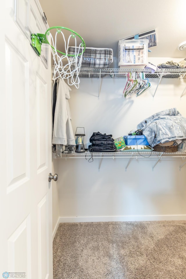 7339 21st St S, Fargo, ND 58104 - walk in closet with carpet flooring