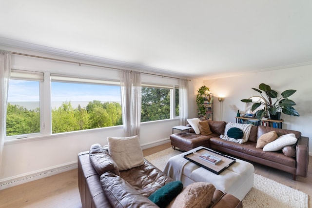 2514 Branch St, Duluth, MN 55812 - living area with light wood finished floors, crown molding, and baseboard heating