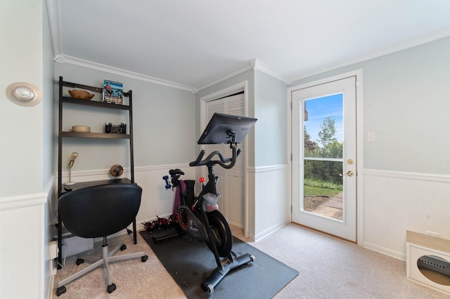 2514 Branch St, Duluth, MN 55812 - exercise room featuring crown molding, wainscoting, and carpet flooring