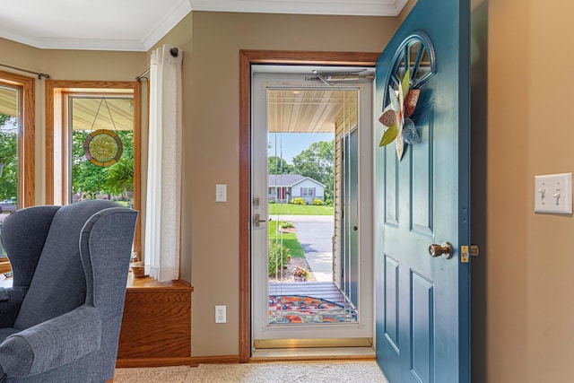 4820 Echo Ct, Faribault, MN 55021 - carpeted foyer entrance with healthy amount of natural light and crown molding