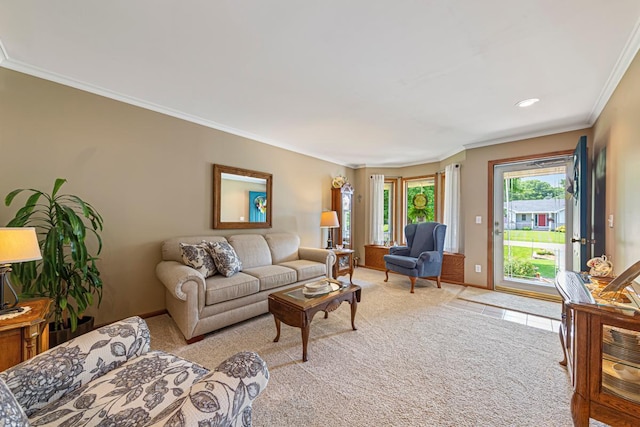 4820 Echo Ct, Faribault, MN 55021 - living room with light carpet, ornamental molding, and recessed lighting