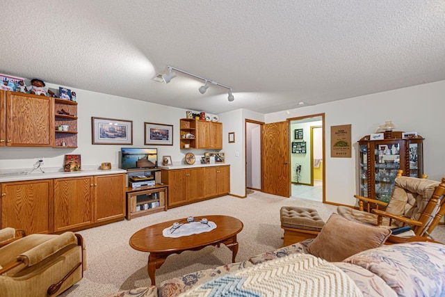4820 Echo Ct, Faribault, MN 55021 - living room with track lighting, a textured ceiling, and light colored carpet