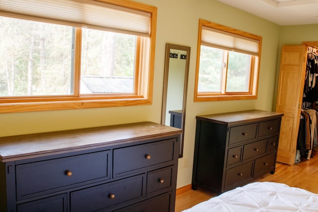 36945 Delta Bay Rd, Pine River, MN 56474 - bedroom featuring light wood-type flooring, multiple windows, a walk in closet, and a closet