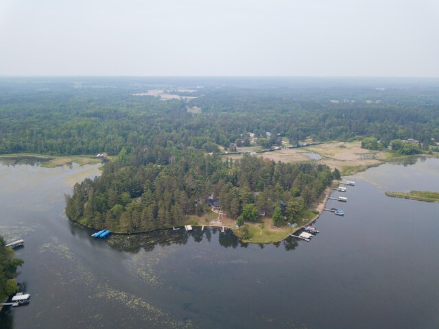 36945 Delta Bay Rd, Pine River, MN 56474 - aerial view of property and surrounding area featuring a large body of water