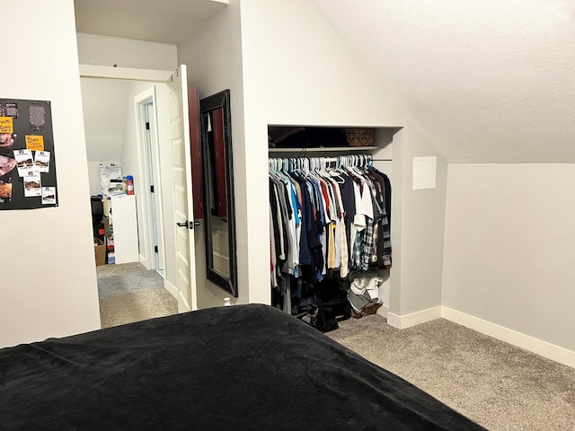 534 Main St, Perham, MN 56573 - bedroom with carpet floors, a closet, and lofted ceiling