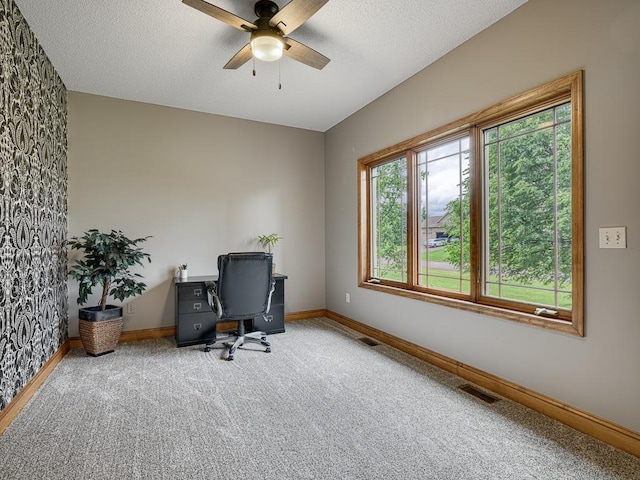 1847 140th Ln NE, Ham Lake, MN 55304 - home office with a ceiling fan, carpet floors, and a textured ceiling