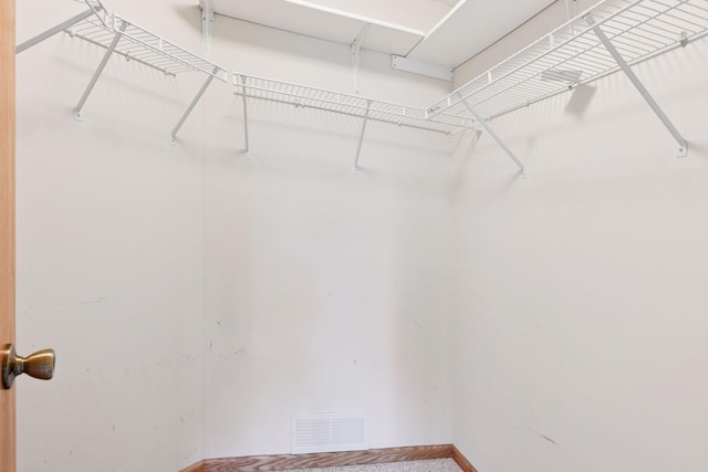 15616 84th St NE, Otsego, MN 55330 - view of spacious closet