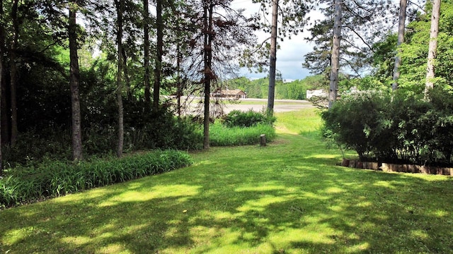 1005 Superior St, Isle, MN 56342 - photo 25