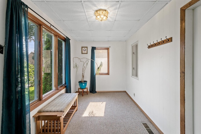 3521 26th St, Minneapolis, MN 55406 - corridor with a drop ceiling, plenty of natural light, and carpet