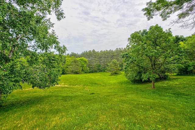 14220 15th St S, Afton, MN 55001 - photo 45