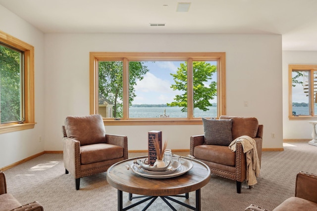 1709 1/2 Pulaski Rd, Buffalo, MN 55313 - living room featuring carpet and baseboards