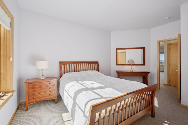 1709 1/2 Pulaski Rd, Buffalo, MN 55313 - bedroom featuring light colored carpet and baseboards