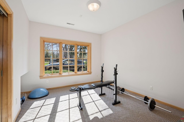 1709 1/2 Pulaski Rd, Buffalo, MN 55313 - workout area featuring carpet floors and baseboards