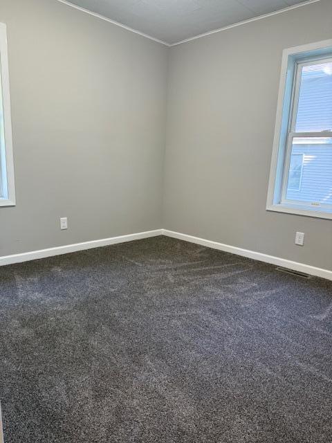 260 Maple St N, Balaton, MN 56115 - unfurnished room with ornamental molding and dark carpet