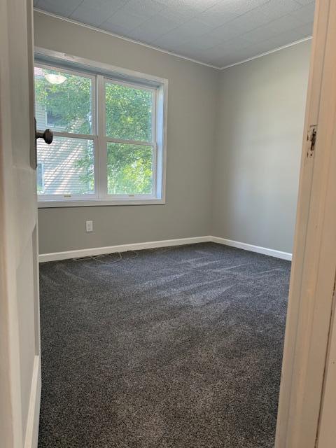 260 Maple St N, Balaton, MN 56115 - unfurnished room featuring healthy amount of natural light, dark colored carpet, and ornamental molding
