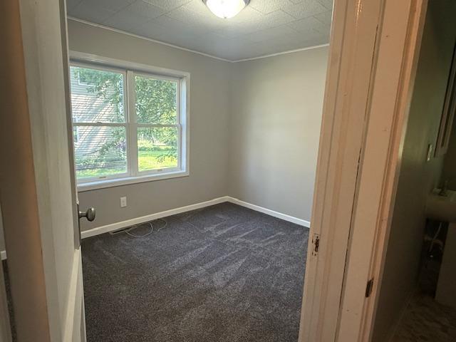 260 Maple St N, Balaton, MN 56115 - empty room featuring dark colored carpet and baseboards