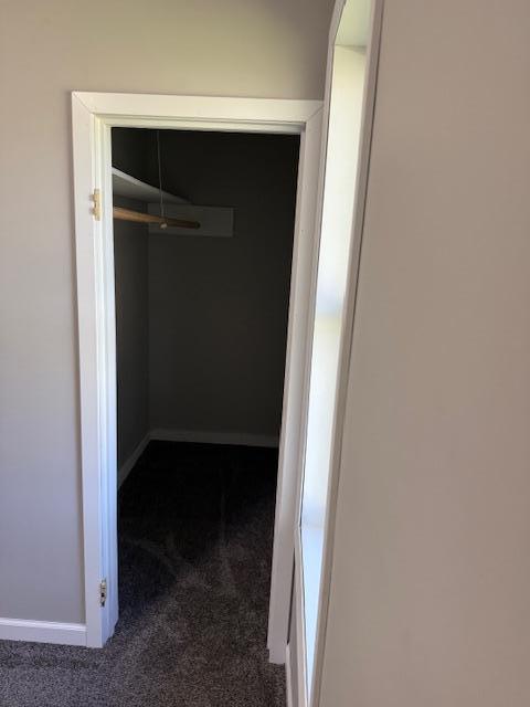 260 Maple St N, Balaton, MN 56115 - view of closet