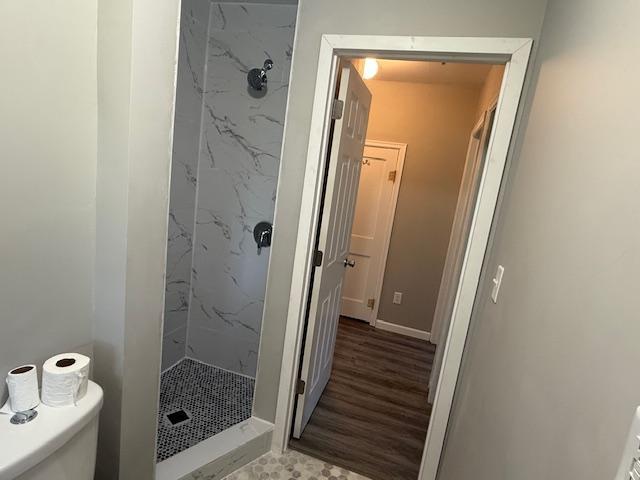 260 Maple St N, Balaton, MN 56115 - full bath featuring a marble finish shower and toilet