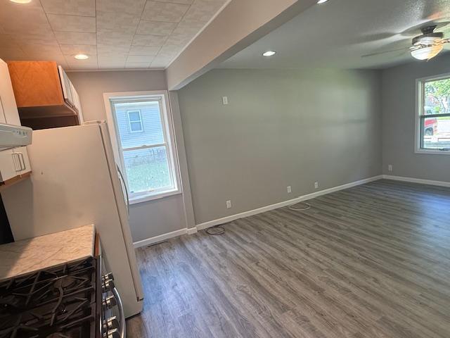 260 Maple St N, Balaton, MN 56115 - unfurnished dining area featuring wood finished floors, a ceiling fan, and recessed lighting
