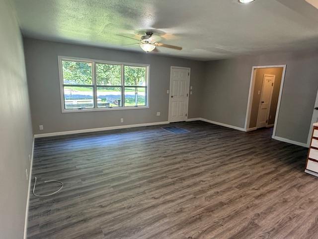 260 Maple St N, Balaton, MN 56115 - empty room featuring a ceiling fan and dark wood-type flooring