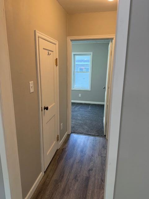 260 Maple St N, Balaton, MN 56115 - hall with dark wood finished floors and baseboards