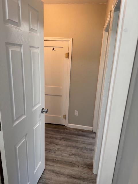 260 Maple St N, Balaton, MN 56115 - hallway with dark wood-style floors and baseboards