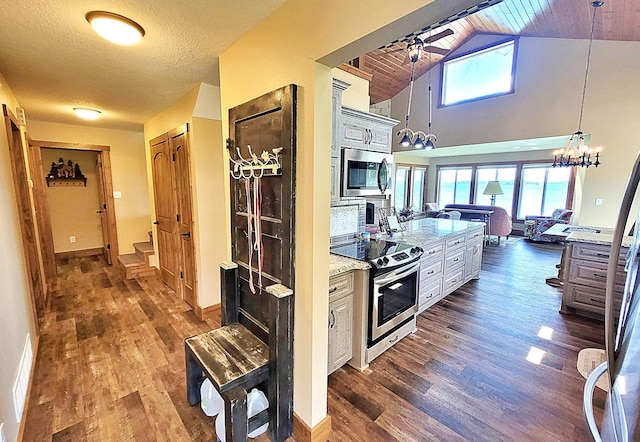 45207 281st Ln, Aitkin, MN 56431 - kitchen with stainless steel appliances, dark wood-style flooring, a ceiling fan, vaulted ceiling, and pendant lighting