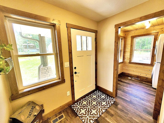 45207 281st Ln, Aitkin, MN 56431 - foyer entrance featuring dark wood-style flooring