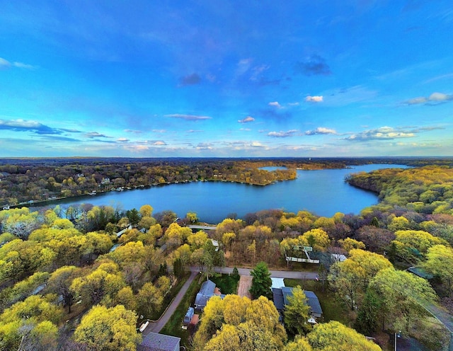 45207 281st Ln, Aitkin, MN 56431 - aerial view of property's location with a nearby body of water and a heavily wooded area
