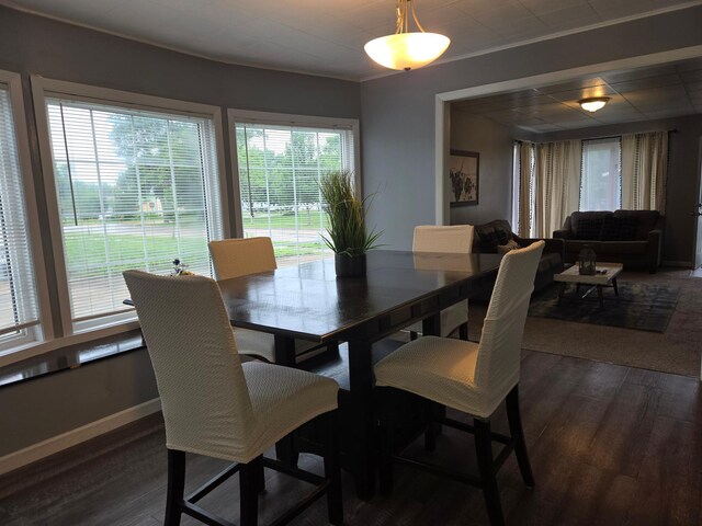 1008 Nevada Ave, Morris, MN 56267 - photo 13