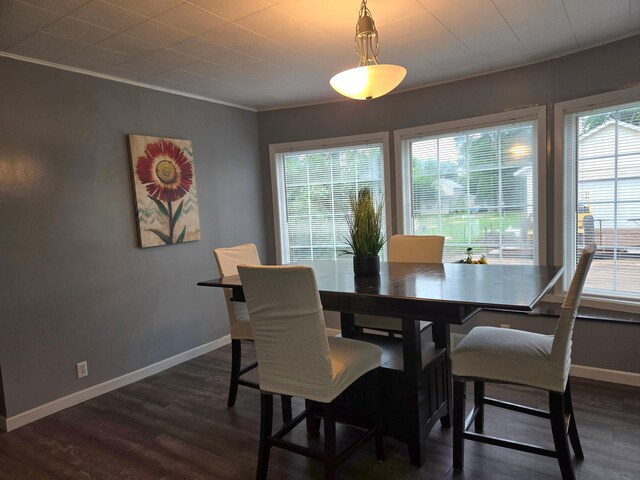 1008 Nevada Ave, Morris, MN 56267 - photo 14