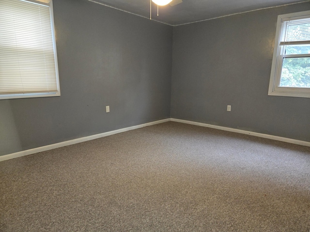 1008 Nevada Ave, Morris, MN 56267 - photo 29