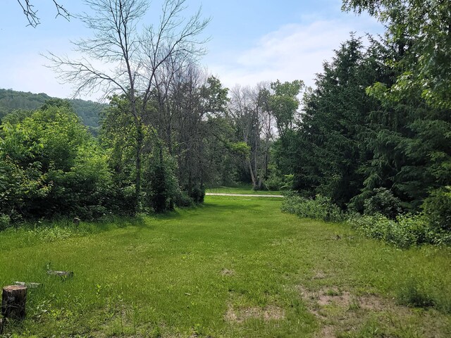 28246 Morgan Rd, Jordan Twp, MN 55990 - photo 60