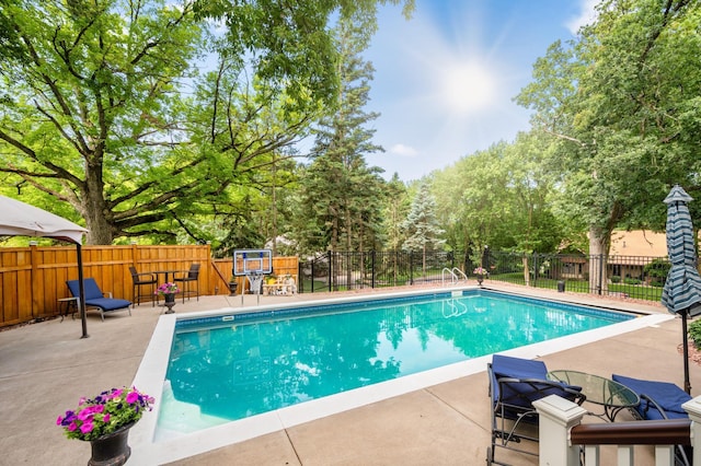 16209 Adeline Ln, Minnetonka, MN 55391 - view of pool with a patio area and view of scattered trees