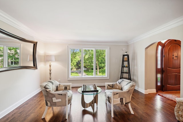 16209 Adeline Ln, Minnetonka, MN 55391 - sitting room with healthy amount of natural light, arched walkways, dark wood-style floors, and ornamental molding