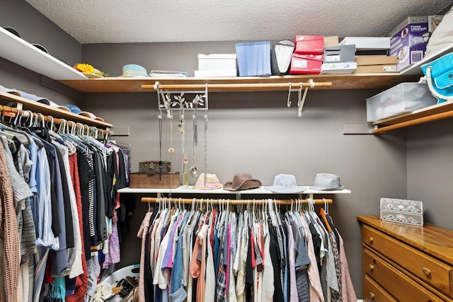 16209 Adeline Ln, Minnetonka, MN 55391 - view of walk in closet