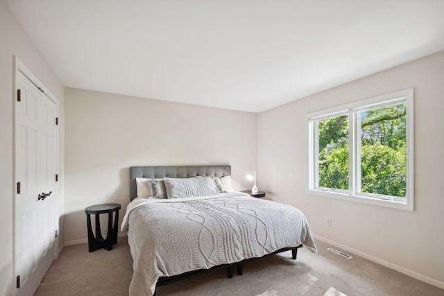 16209 Adeline Ln, Minnetonka, MN 55391 - bedroom with carpet flooring and a closet