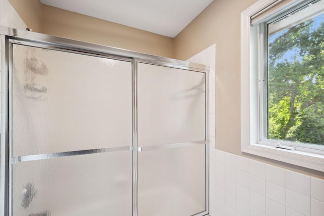 16209 Adeline Ln, Minnetonka, MN 55391 - full bath featuring healthy amount of natural light and a shower with door